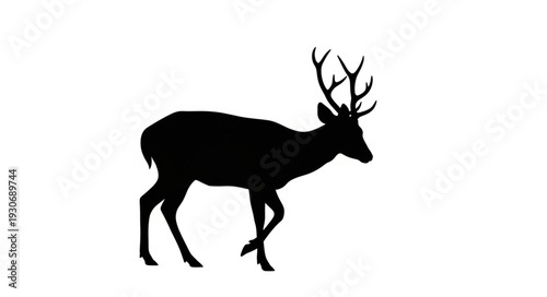 Deer Silhouette with Antlers Walking.