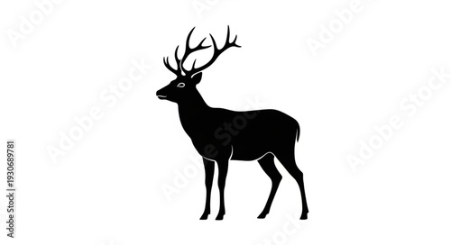 Deer Silhouette with Antlers Standing.