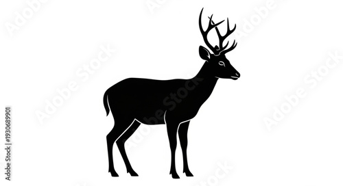 Deer Silhouette with Antlers Standing.