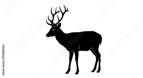 Deer Silhouette with Antlers Standing.