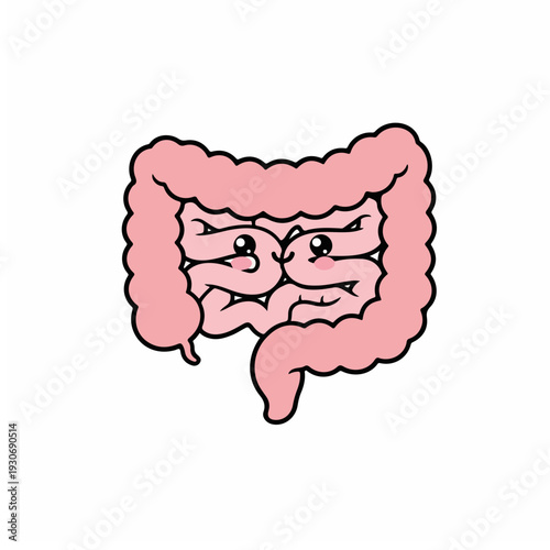 Vibrant and simplified cartoon drawing of the human gut, illustrating the crucial digestive system organs with a friendly expression, perfect for educational, health, and wellness-related designs