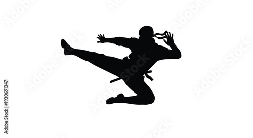 Martial arts silhouette ninja kicking in mid air dynamic fighting stance isolated on white background