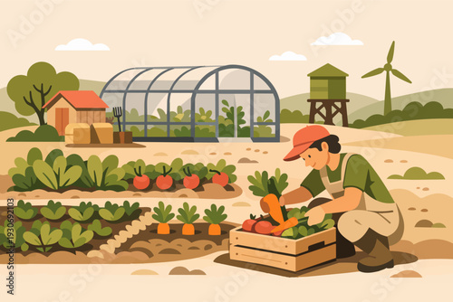 Gardener harvesting fresh organic vegetables, working in a sustainable farm field
