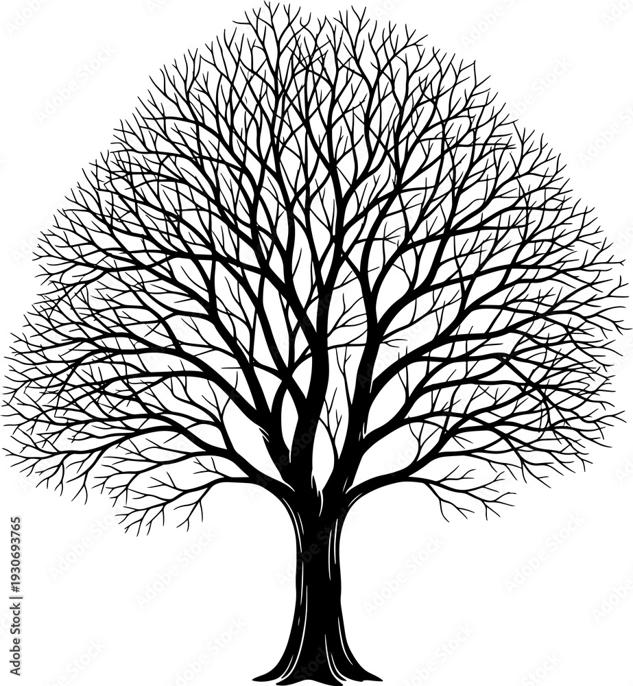 Obraz premium Black leafless tree silhouette on white background