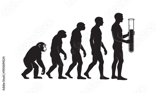Human evolution from ape to modern scientist holding test tube vector