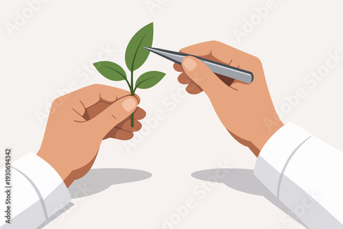 Biologist hands working with plant using tweezers in scientific experiment