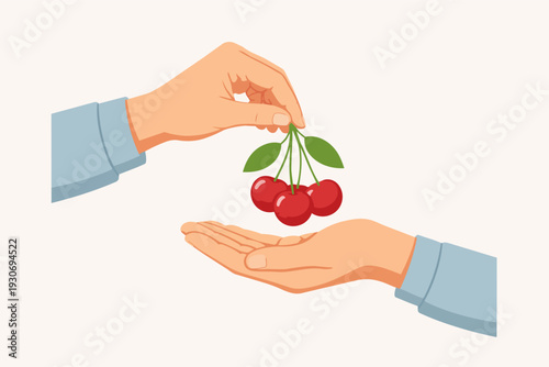 Hands sharing fresh cherries, concept of giving, care, natural fruit exchange
