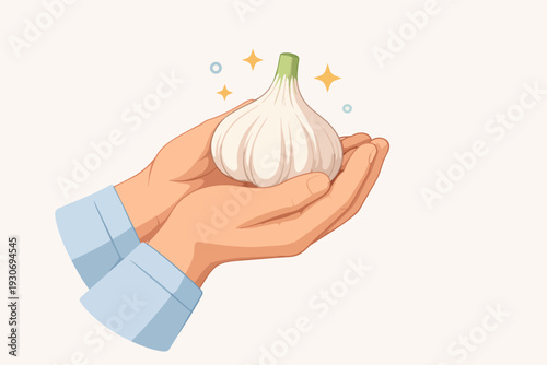 Hands holding fresh garlic bulb, showing health, cooking, and natural seasoning