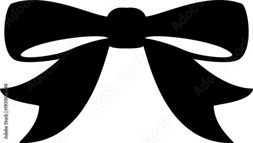 Coquette Ribbon Frames with bows, birthday, wedding, French style