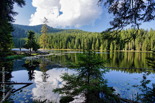 Tableau sur toile Blick auf den Großen Arbersee im Nationalpark Bayerischer Wald, Bayern, Deutschl