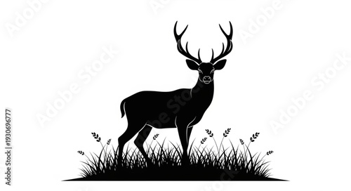 Deer Standing in Grassy Field.
