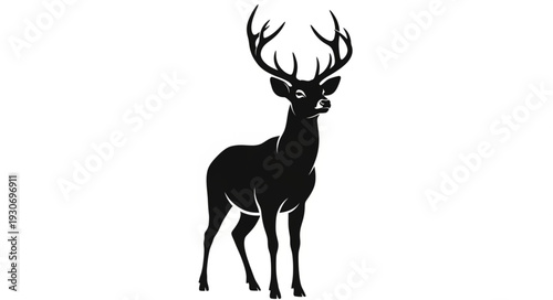 Deer with Large Antlers Standing.