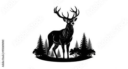 Deer with large antlers standing.