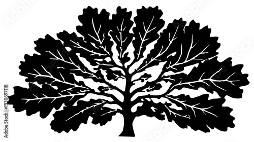 Black and white illustration of a large oak tree silhouette with detailed leaf and branch structure