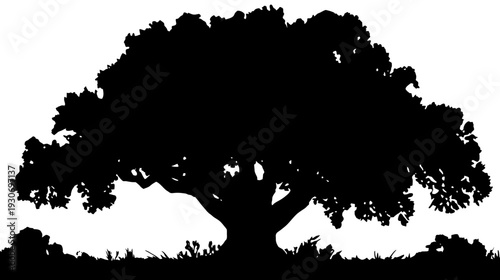A silhouette of a large tree with detailed leaves, against a stark white background