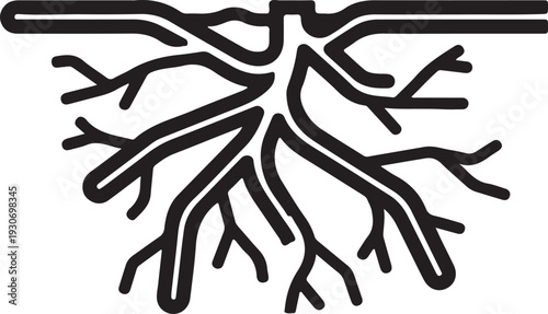 Neural Root Network: Interconnected Biological System and Futuristic Growth Concept