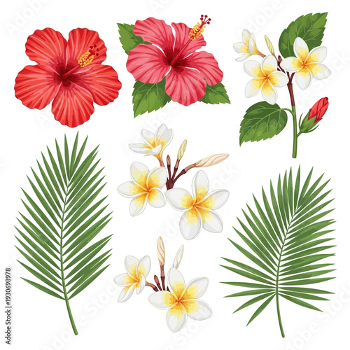 Vibrant tropical botanical collection featuring exotic hibiscus flowers, fragrant plumeria blossoms, and lush green palm leaves, ideal for summer decor, resort themes, and graphic designs