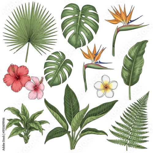 Vibrant botanical collection featuring hand-drawn exotic tropical plants and flowers, perfect for island-themed designs, textile patterns, or natural decor accents with a lush, paradise feel