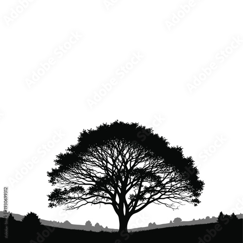 Lonely Leafless Tree Silhouette on Landscape