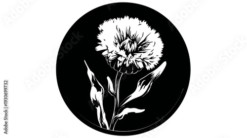 A striking, two-tone image of a flowering plant within a black circular frame, with intricate details