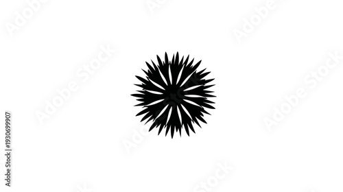 A stylized black and white illustration of a spiky floral-like shape against a stark white background