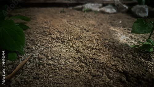 Soil background photos illustration