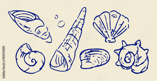Hand drawn blue sea shells collection vector illustrations in grunge chalk or charcoal rough doodle sketch style elements isolated on light background