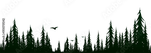  forest landscape with birds