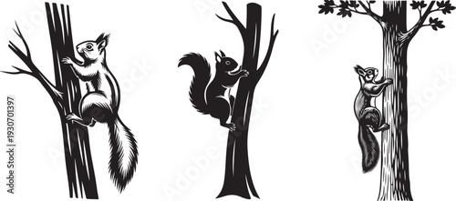 Squirrel Climbing Tree Set – Vintage Black and White Woodland Engraving Illustration.