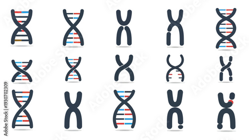 Abstract dna and chromosome illustrations for science and healthcare concepts