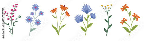 Set of colorful spring flowers in a flat vector style. Daisies, sunflowers, poppies, and wildflowers. Perfect for floral designs, nature patterns