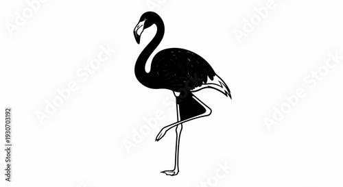 Stylized black flamingo standing on one leg, its body textured with swirling lines