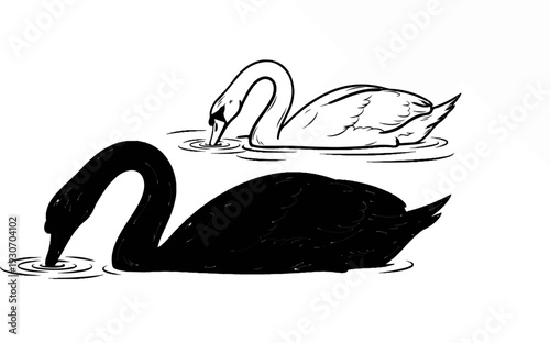 Two stylized swans, one black and one white, dip their heads in water