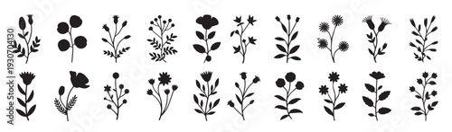 set of silhouettes of plants and flowers black and white