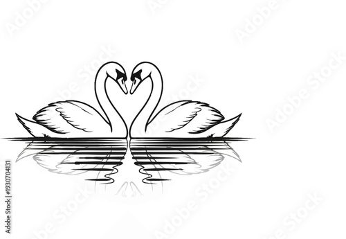 Two swans form a heart shape with their necks reflected in water
