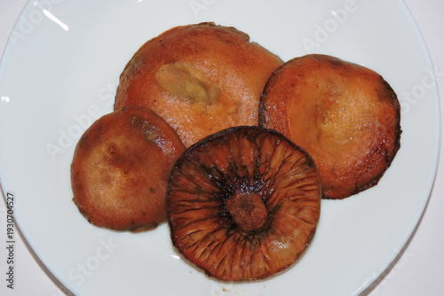 Wallpaper Mural Fried saffron milk caps mushrooms on a white plate Torontodigital.ca