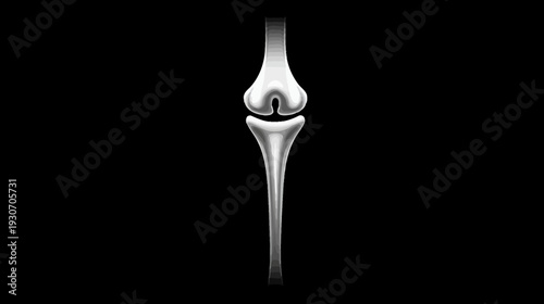A grayscale anatomical illustration of a bone joint with a distinctive, simplified design against a black backdrop