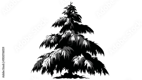 A grayscale illustration of a tall evergreen tree, with detailed branches and leaves against a white background