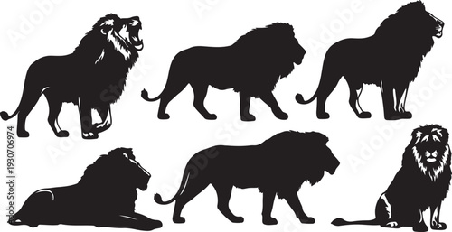 flower, drawing, frame, graphic, lily, abstract, art, isolated, white, beauty, black, decoration, decorative, design, floral, leaf, nature, pattern, vector, plant, spring, profile, silhouette, afro, b