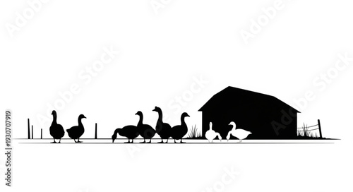 Geese Walking Near Barn Silhouette.