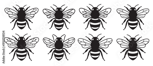 Vector Black silhouettes Selection of hand drawn bees in different styles.with white background