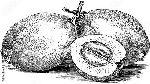 A detailed, monochrome illustration of three, likely tropical fruits, one cut open
