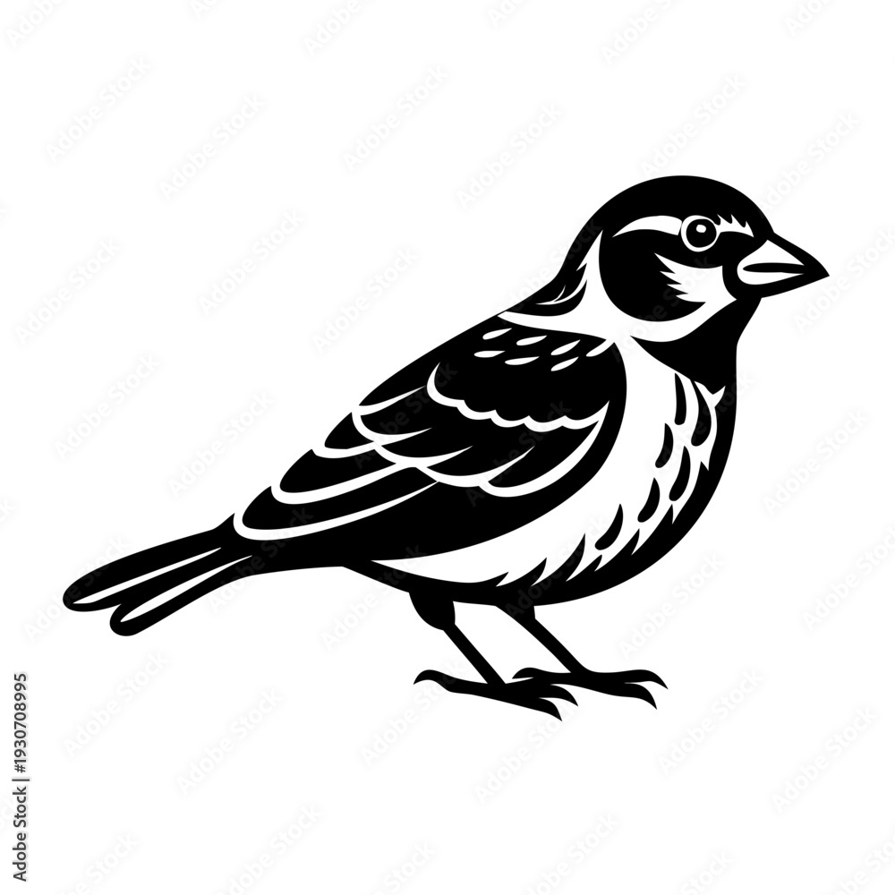 Obraz premium A black and white drawing of a small bird Vector