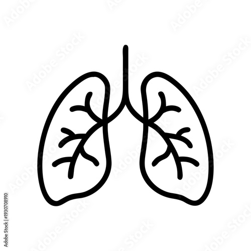 A simple line drawing of a pair of lungs Vector