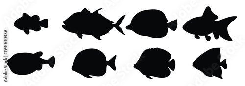 set of black silhouettes of fish