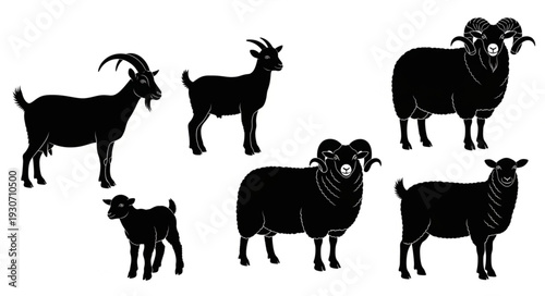 Group of Goats Standing Together.