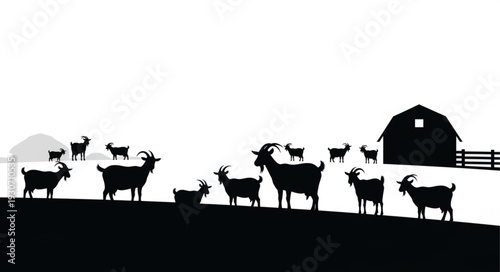 Group of Goats Standing Together.