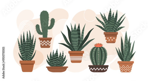 Diverse collection of potted cactus and succulent plants in various ceramic pots arranged against a soft abstract background.