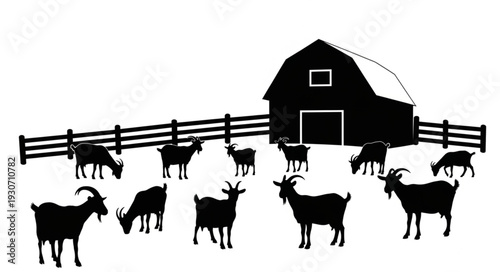 Goats Standing Near Barn Silhouette.