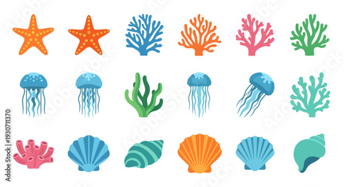 Vibrant ocean creatures including starfish, jellyfish, coral, seashells, and seaweed are depicted in a colorful illustration from a direct viewpoint.